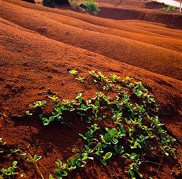 Xbox官方发文回应假冒伪劣手柄 建议通过官方渠道购买